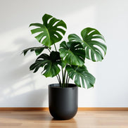 Fejka potted plant