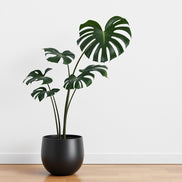 Fejka potted plant