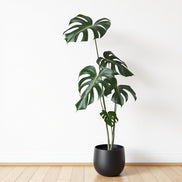 Fejka potted plant