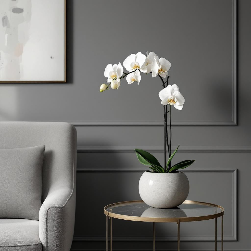 White Orchid 22