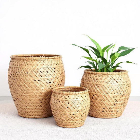 Harmony – Set of 3 Handcrafted Flower Pots