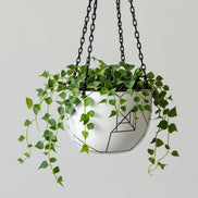 Skyline – Modern Hanging Planter in White