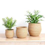 Harmony – Set of 3 Handcrafted Flower Pots