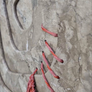 IDENTITY wall panel